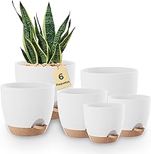 Bamworld Indoor Planter with Drainage 6 Pieces Self-Watering 5"/5.5"/6"/6.5"/7"/8" Plastic Pots for Indoor Plants, Flowers, Cactus