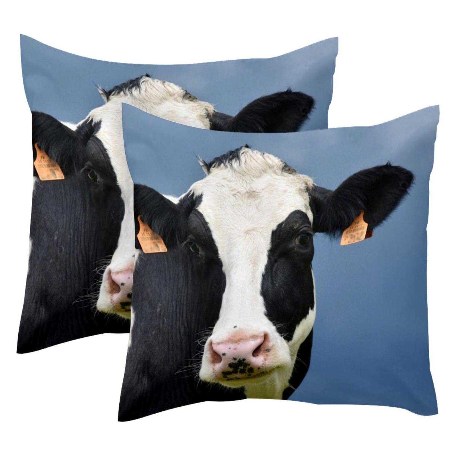 Housses de coussin lombaire douces et confortables pour le dos