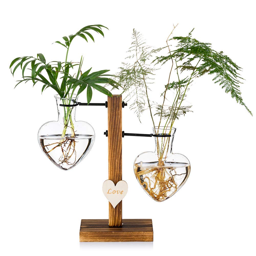 Terrarium De Plantes en Verre avec Support en Bois, Vases Hydroponiques en Verre à Double Cœur Créatif, Station De Propagation De Plantes Modernes, Ampoule De Jardinière De Bureau