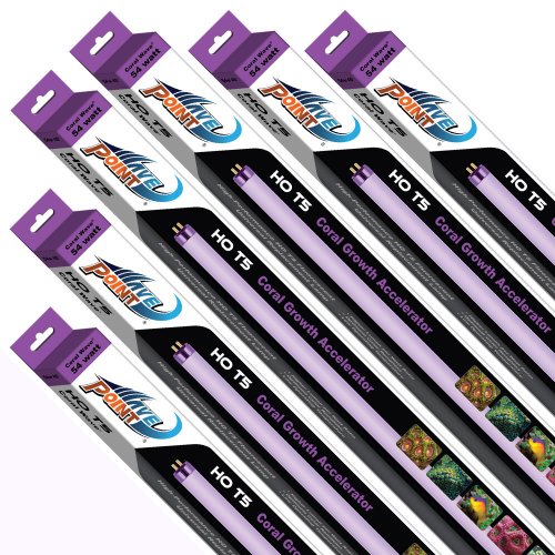 Wave Point 6-Pack Coral Wave HO T-5 54-Watt...