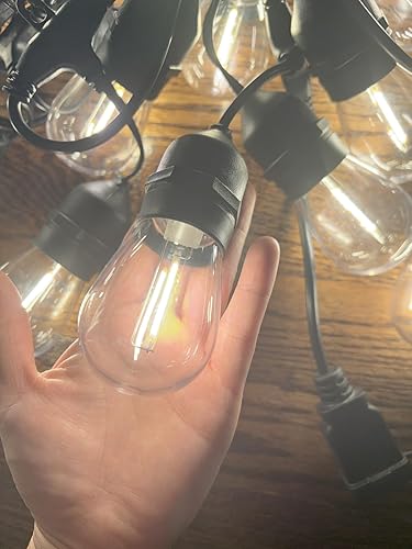 Review Image by Amazon Customer