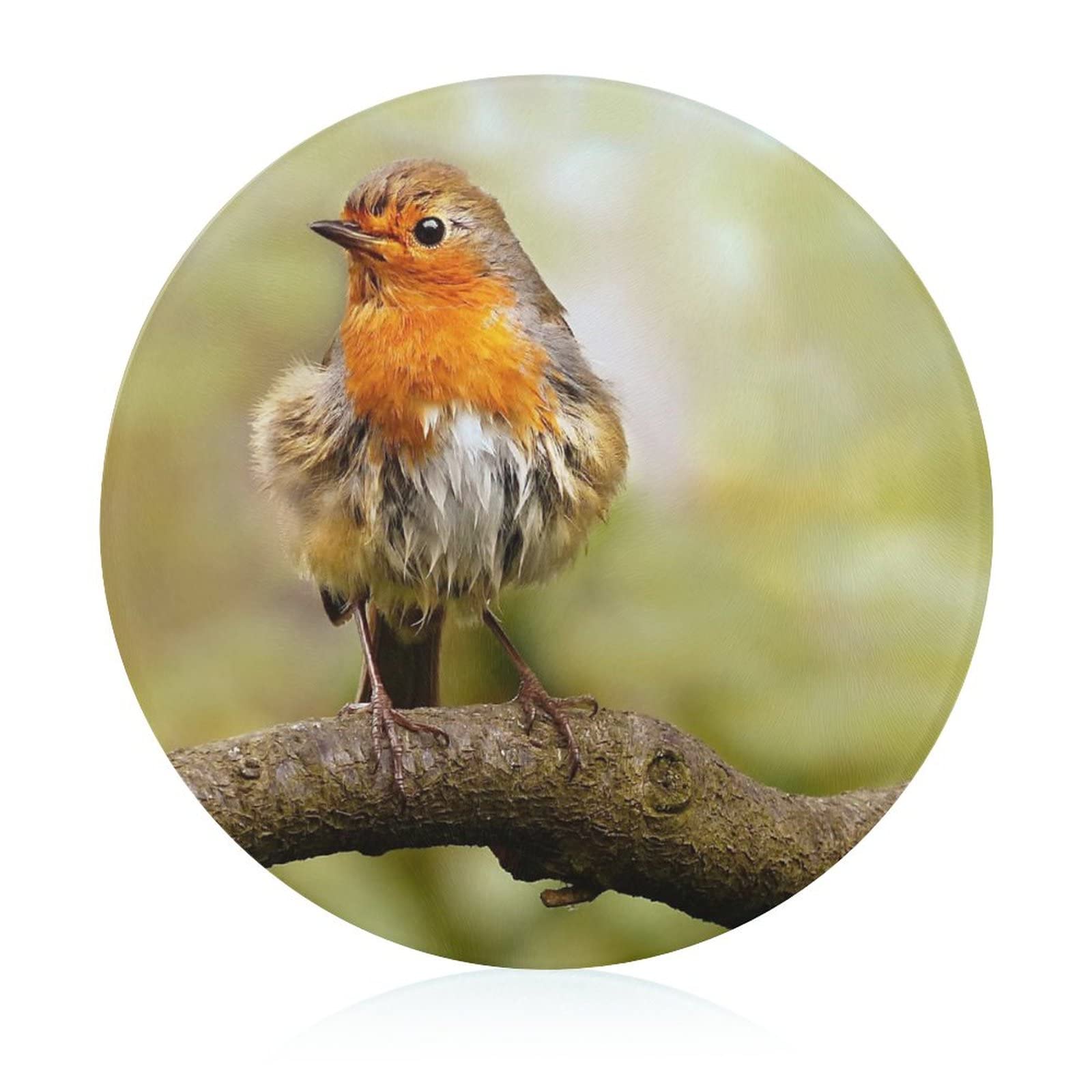 Planche à découper en verre trempé oiseau plateau de service haut de gamme thermorésistant