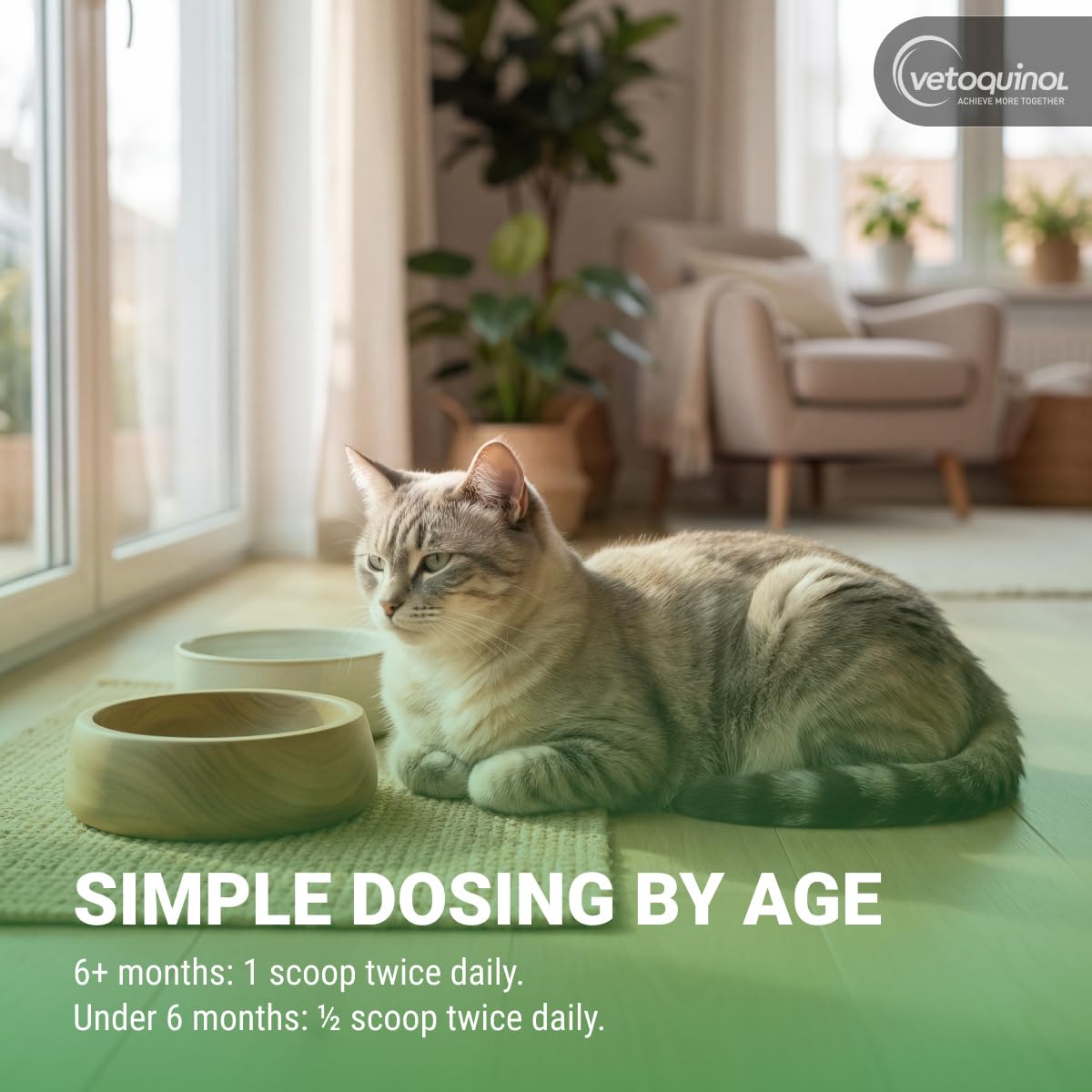 Vetoquinol Viralys, Lysine Powder for Cats and Kittens, 100 g — Amazon image 5