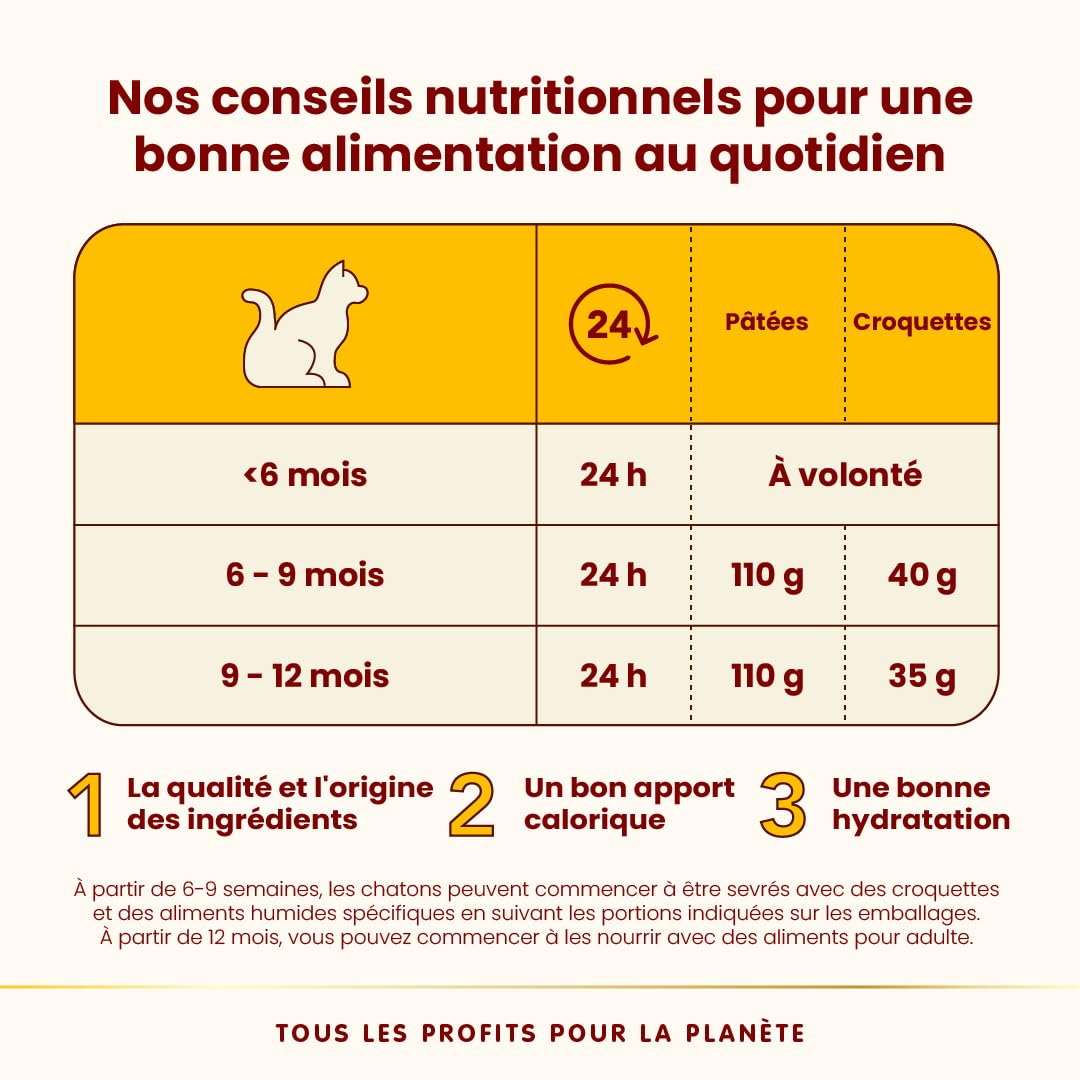 Almo Nature HFC Kitten - Nourriture Humide pour Chaton - Poulet - 70 g x 24 Boîtes