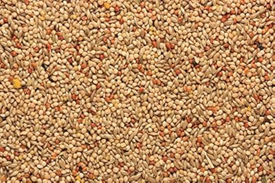 SkyGold Budgie Red 20Kg Cage and Aviary Food