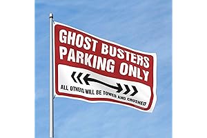 Ghostbusters Banner