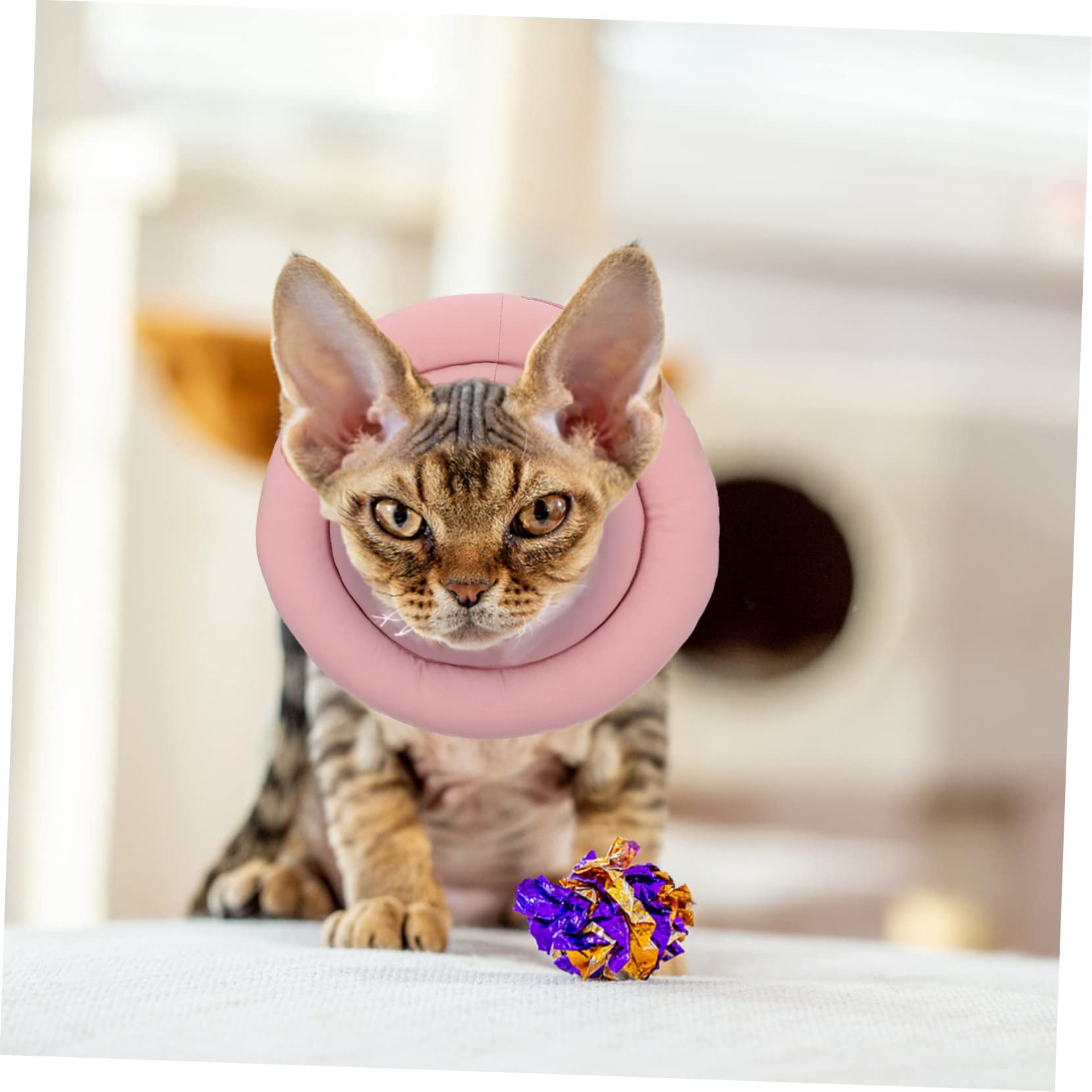 INOOMP 3pezzi Collare Protettivo Per Gatti Collare Di Per Cani e Gatti Comodo Per Post-operazione e Ferite Non Ostacola La Vista Facile Da Indossare