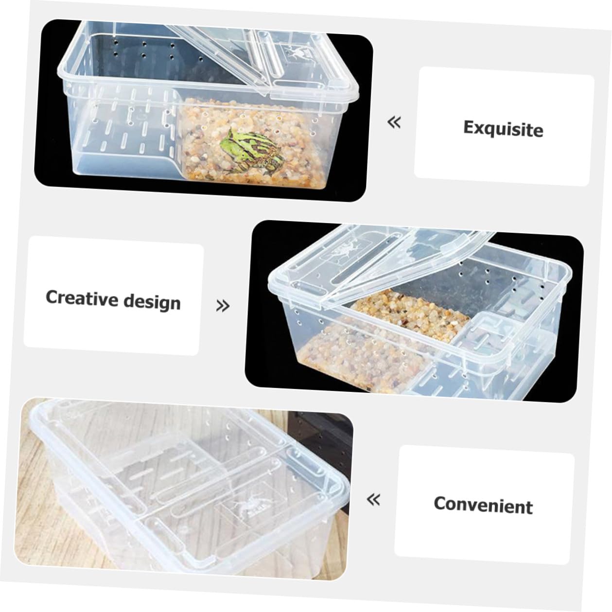 Lurrose Acquario con Piattaforma Galleggiante in Plastica Area Riposo e Alimentazione Facile Osservazione per Tartarughe Inclinazione Adatta per Rettili e Anfibi