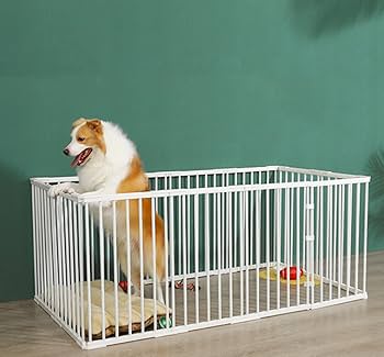 Amazon.co.jp: YXZPQ サークルケージ 犬 小型 ペットサークル 犬用