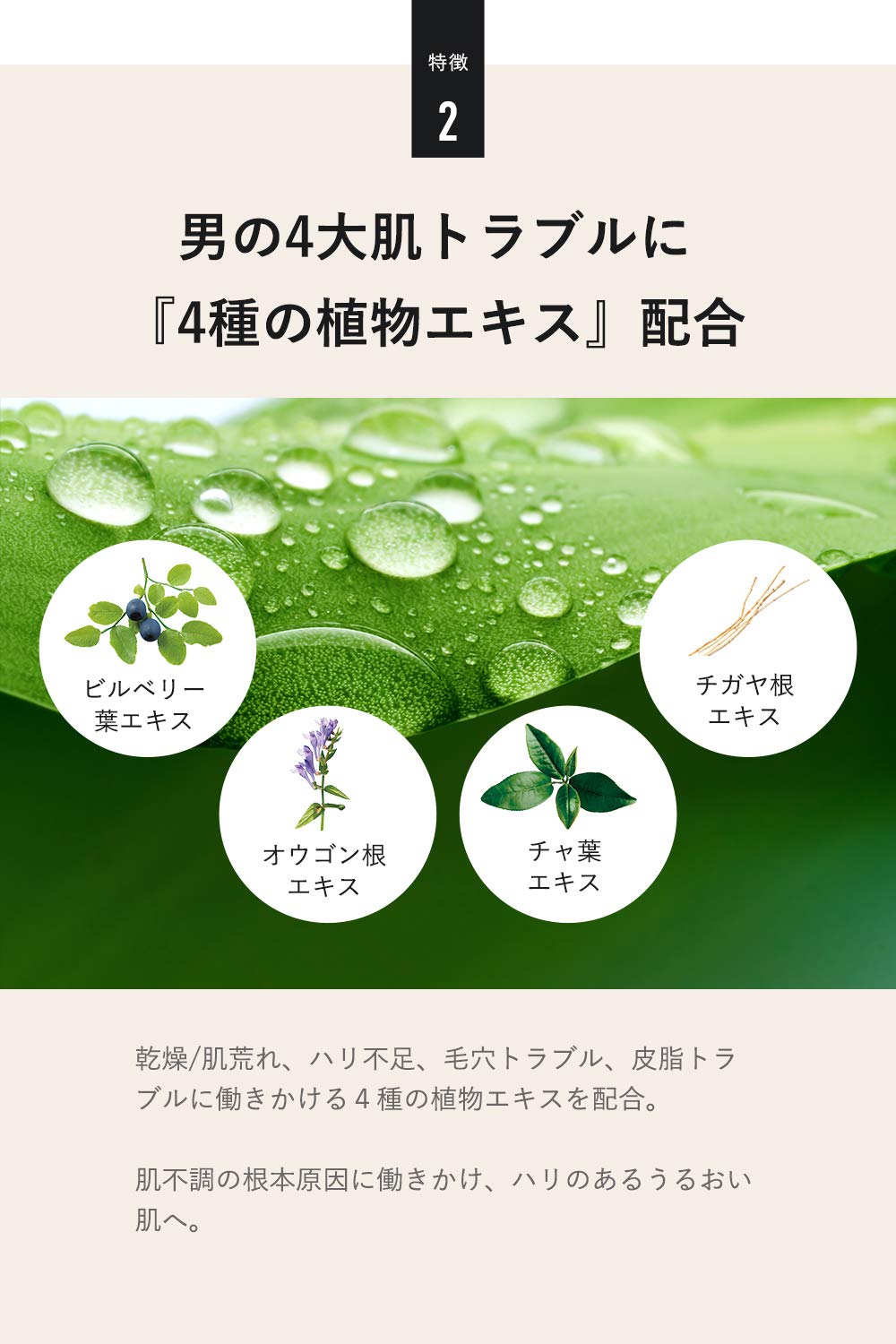 Amazon | クワトロボタニコ メンズ コスメ バレンタイン 2026 ギフト