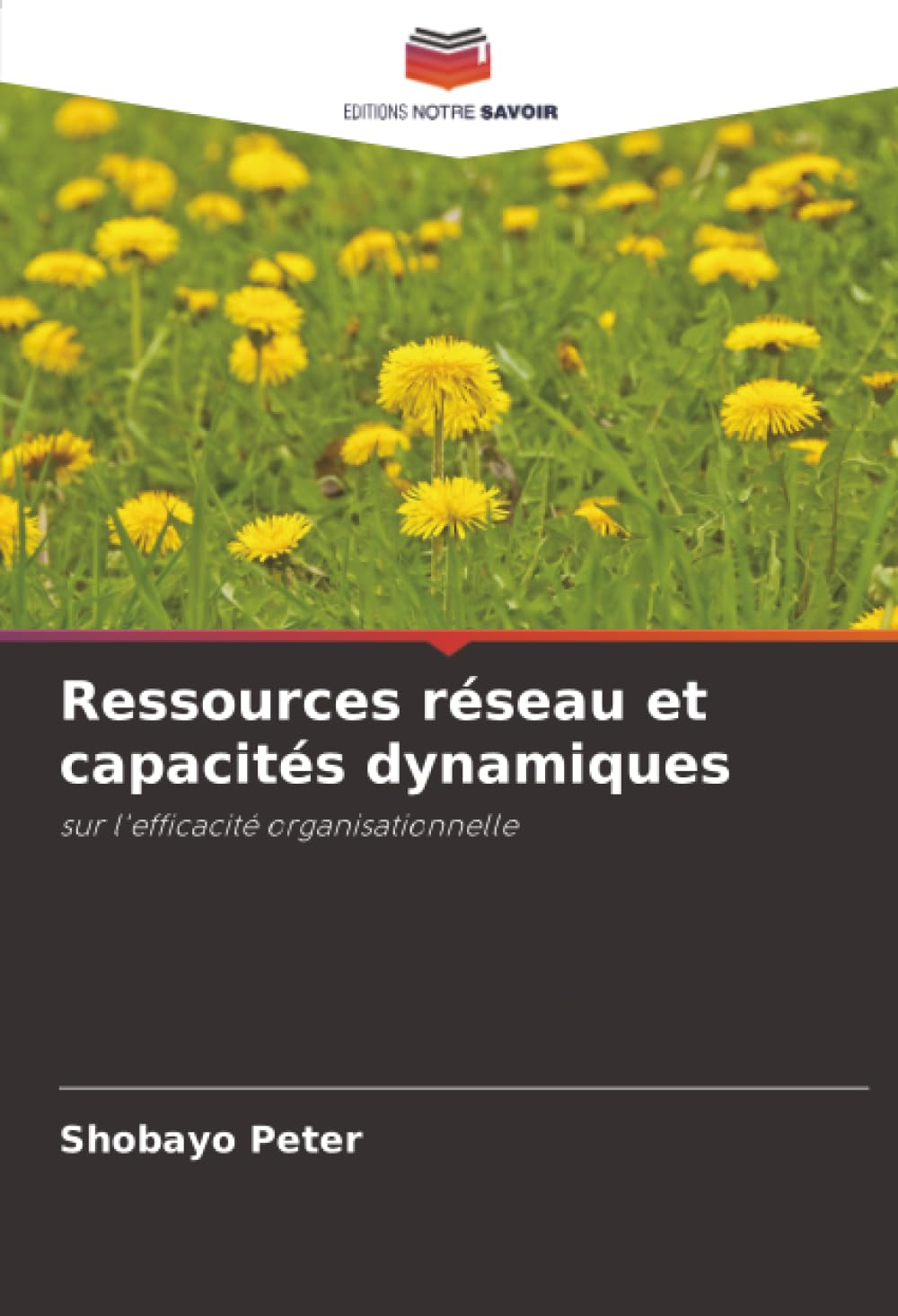 Ressources réseau et capacités dynamiques: sur l'efficacité organisationnelle