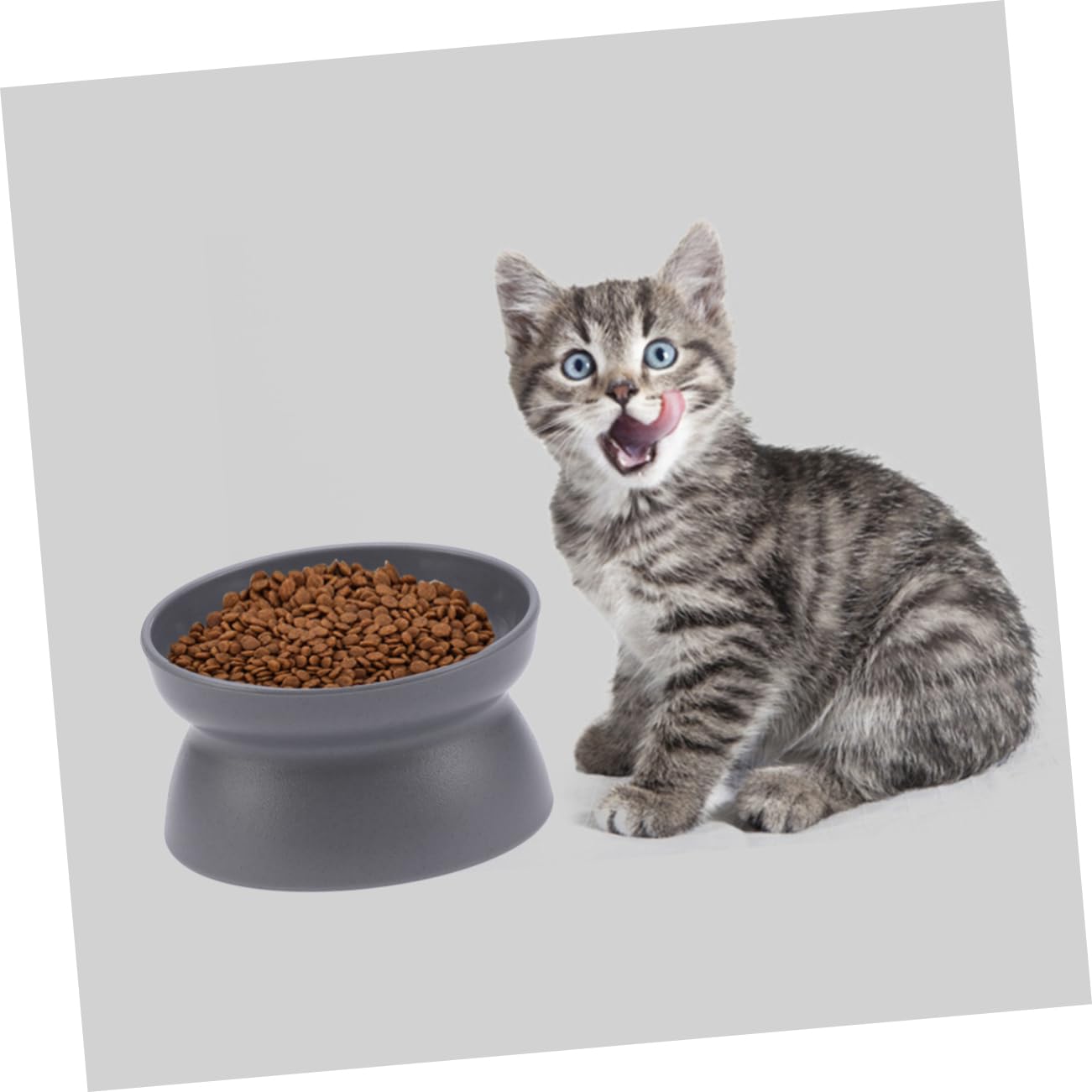 Ipetboom 3pezzi Ciotola Per Gatti Con Base Antiscivolo Ciotola Alimentare Rialzata Gradi Design Doppio Lato Per Controllo Consumo Cibo Accessori Per Animali Domestici Grigio Scuro