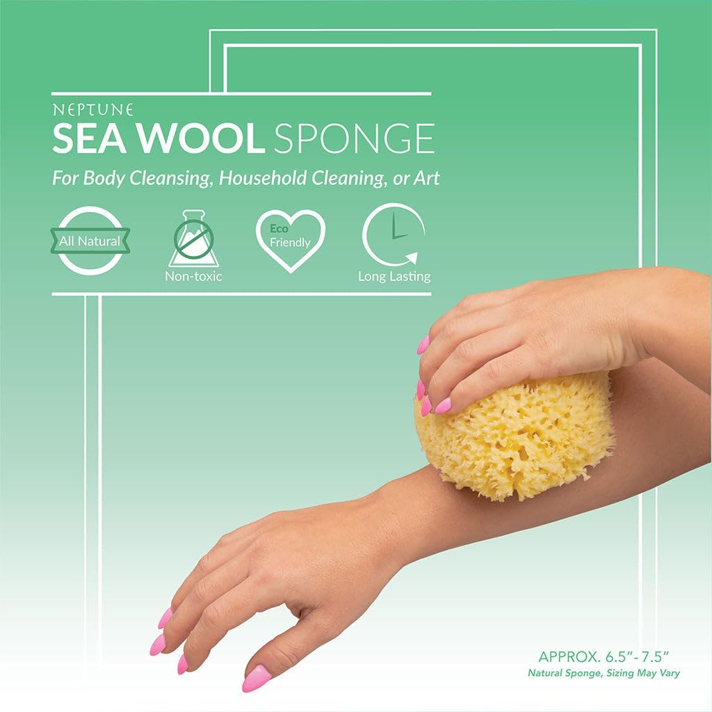 Sea Wool Sponge - All Natural Honeycomb Renewable Sea Sponge, Hand Cut, Jumbo, Approx. 7 Inches (Pack of 2)