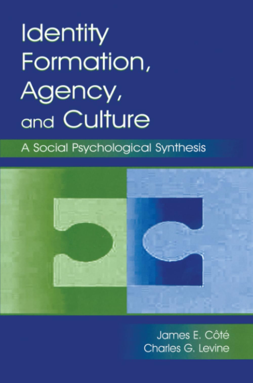 Identity, Formation, Agency, and Culture: A Social Psychological Synthesis