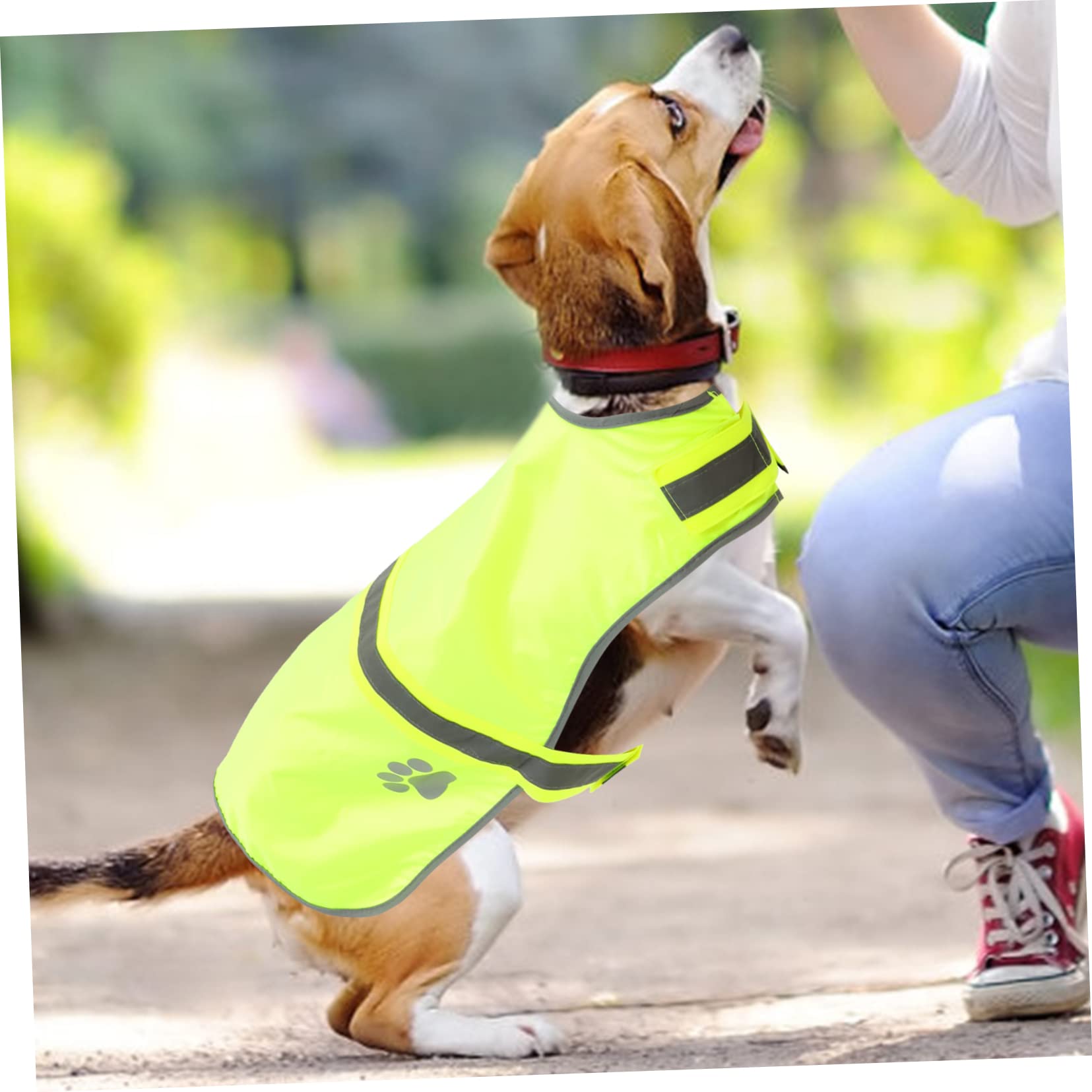 Sosoport 3stücke Reflective Pet Vest Für Hunde Verstellbar Fluoreszierendes Design Für Outdoor-aktivitäten Für Wanderungen Partys Und Fotoshootings