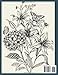 Bloom-Botanical Flowers Coloring Book:: A Relaxing and Beautiful Floral Coloring Book Perfect for adults who want to unwind and de-stress.