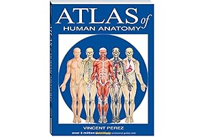 Atlas of Human Anatomy: Comprehensive Photographic Guide for the Health Professions (6th Edition)