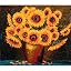 Sunflower Bloom