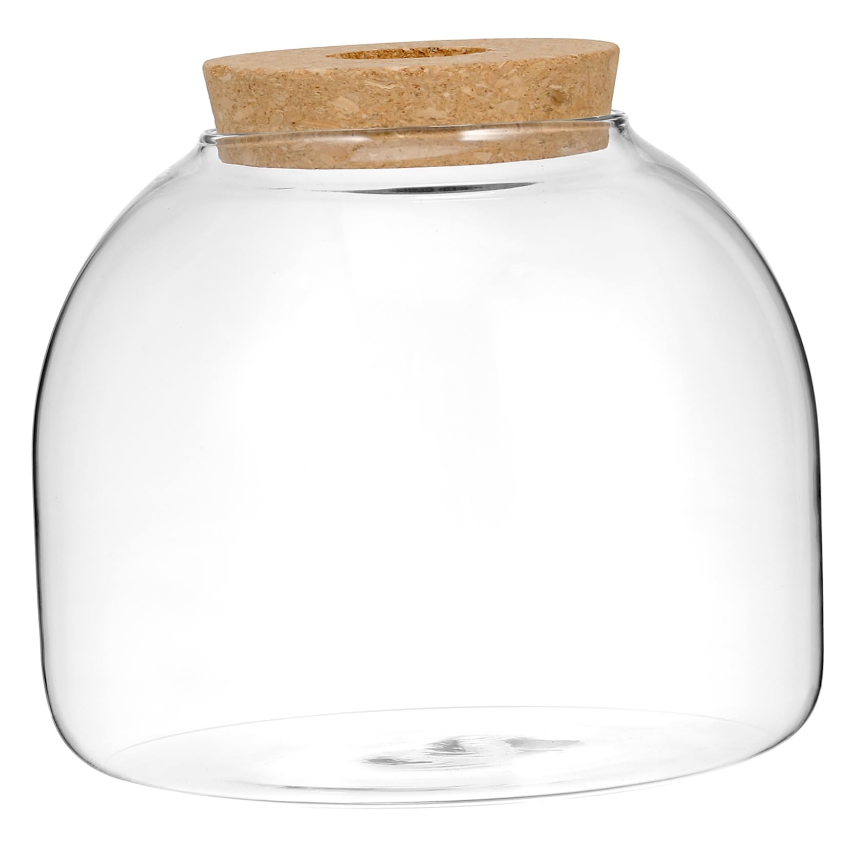 DOITOOL Glas Terrarium Pflanzgefäß für Sukkulenten und Moos Rundes Hydroponisches Kleiner Terrarium mit Korkverschluss Dekoratives Glasgefäß für Zimmerpflanzen und Selbstgemacht