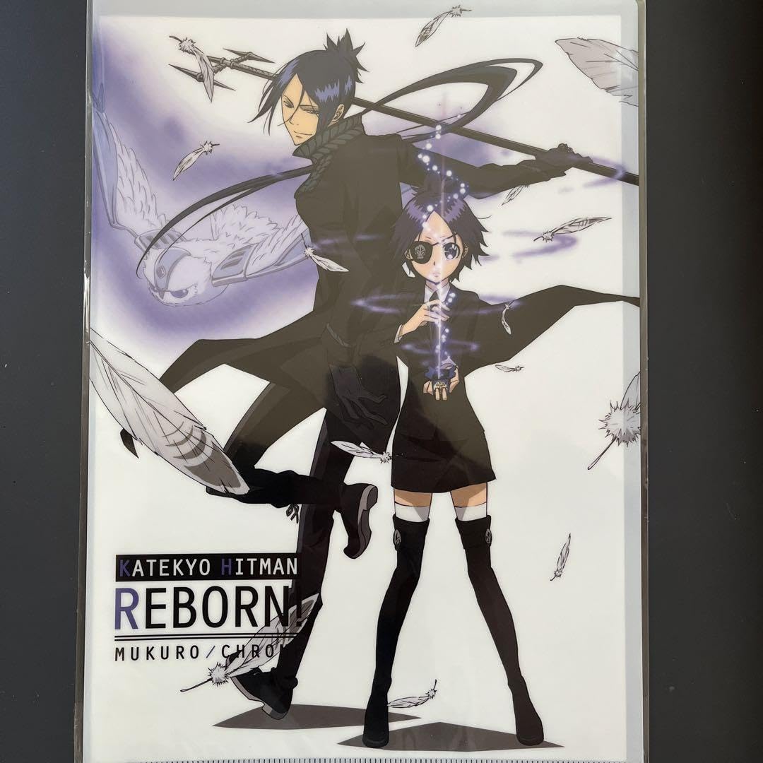 家庭教師ヒットマンREBORN！ A4クリアファイルまとめ売り 家庭教師ヒットマンREBORN! A4シングルクリアファイル＿フラン／英国