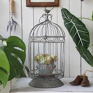 Rustic Vintage Birdcage Planter Holder Farmhouse Distressed Decorative M...