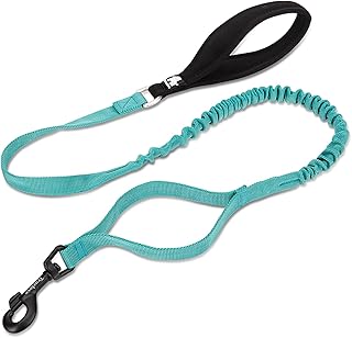 Truelove Elastic Bungee Dog Leash Shock Absorbing No Pull Nylon Training Lead Soft Handle with Extra Traffic Control Handle for Small Medium Large Dogs TLL2281(Baltic,L)