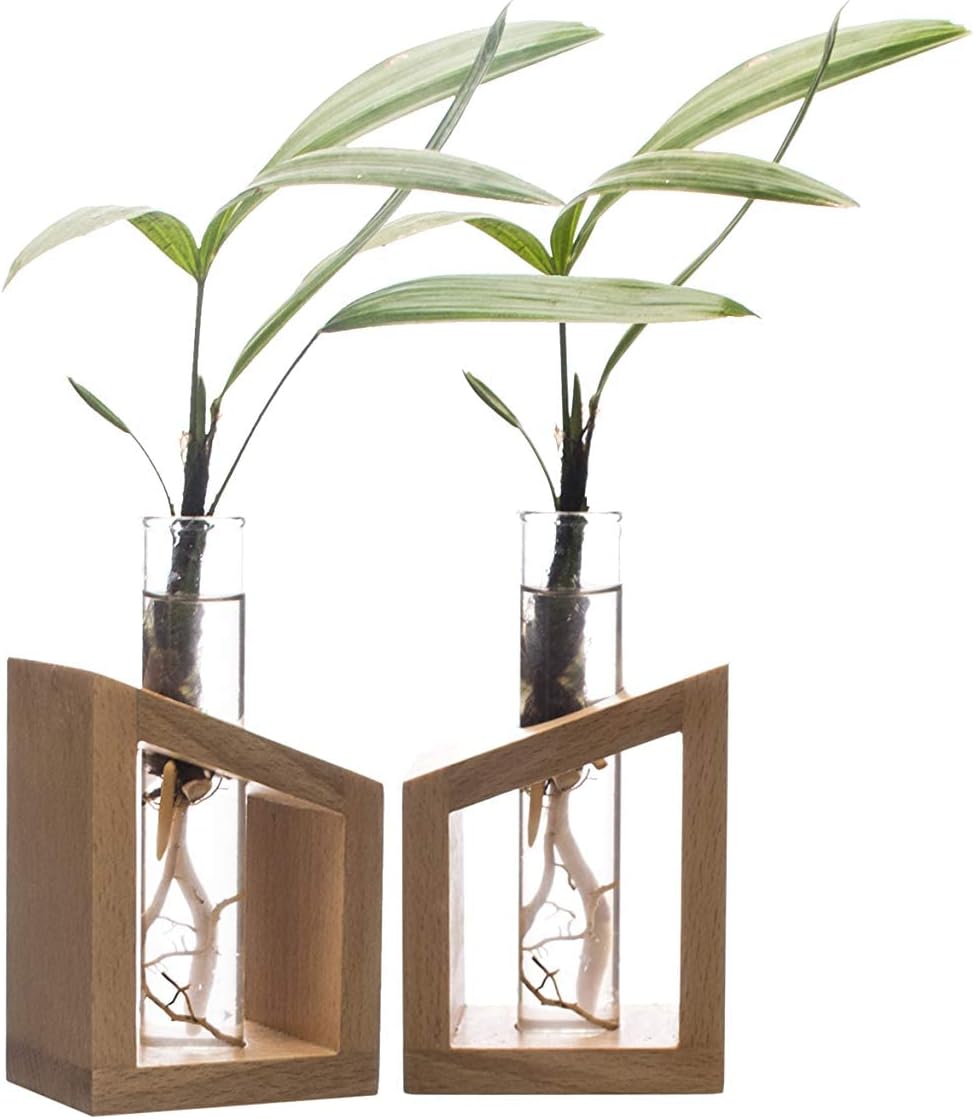 Labzio Home - Flower Vase in a Artistic Wooden Stand with a 3.3 Borosilicate Glass, Pack of 2