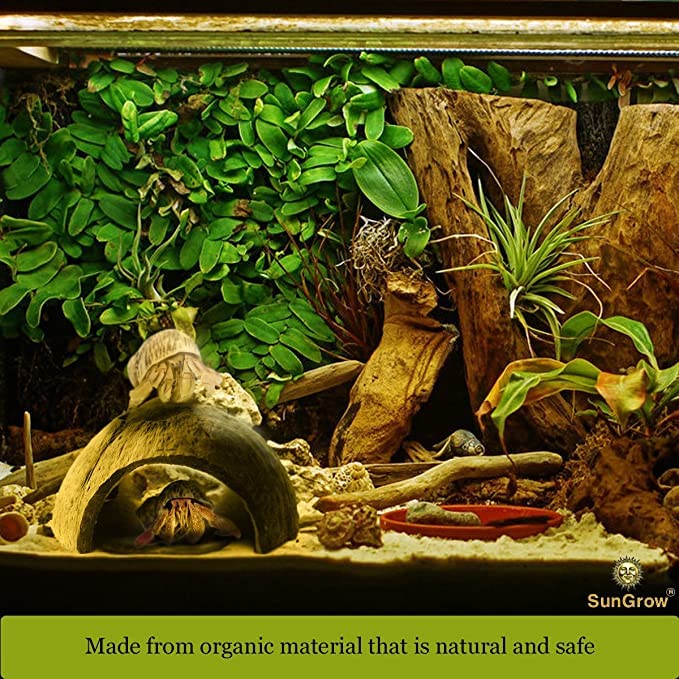 Image of SunGrow Crested Gecko Coconut Huts, 5x3 Inches Reptile Climbing Hide, Leopard Gecko Tank Cage Habitat Accessories, Smooth-Edged Coconut Shell for Exercise, Crawling, Perching and Basking Spot
