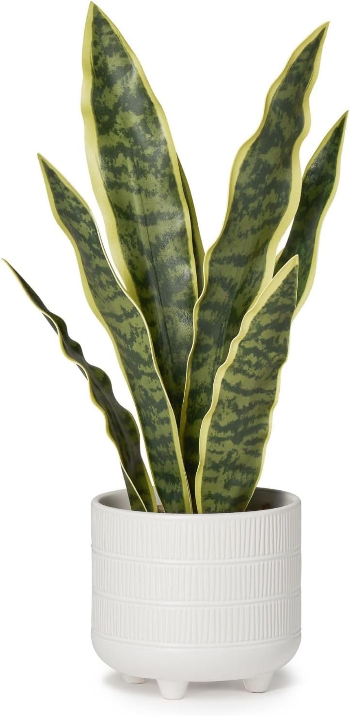 Torre & Tagus Riviera 16" Artificial Snake Plant in White Pot - Fake Snake Plant & Sansevieria Fake House Plants Potted in Ceramic White Pot for Indoor Home Decor