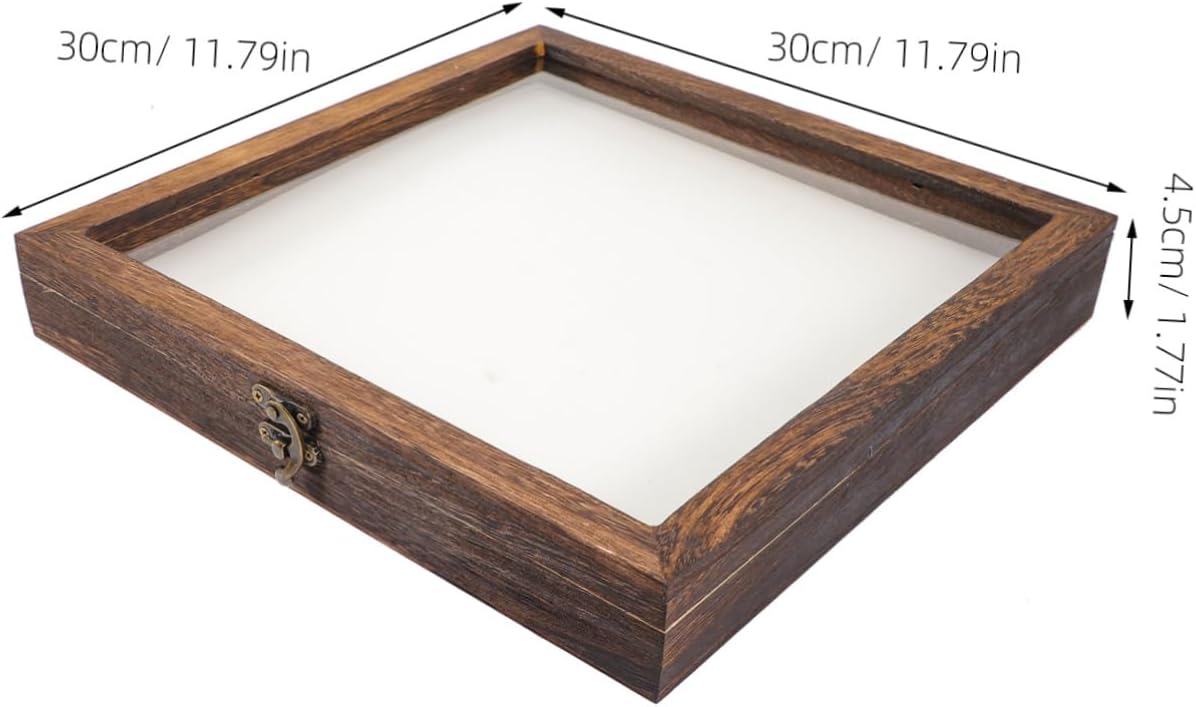 Butterflies Box Display Case Decorative Mirror Specimen Case Vintage Style Dustproof Lid Random Style