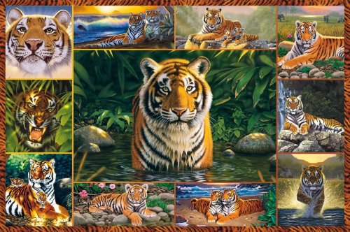 Ravensburger 17424 - Welt der Tiger - 5000 Teile Puzzle (153x101 cm) – Bild 3