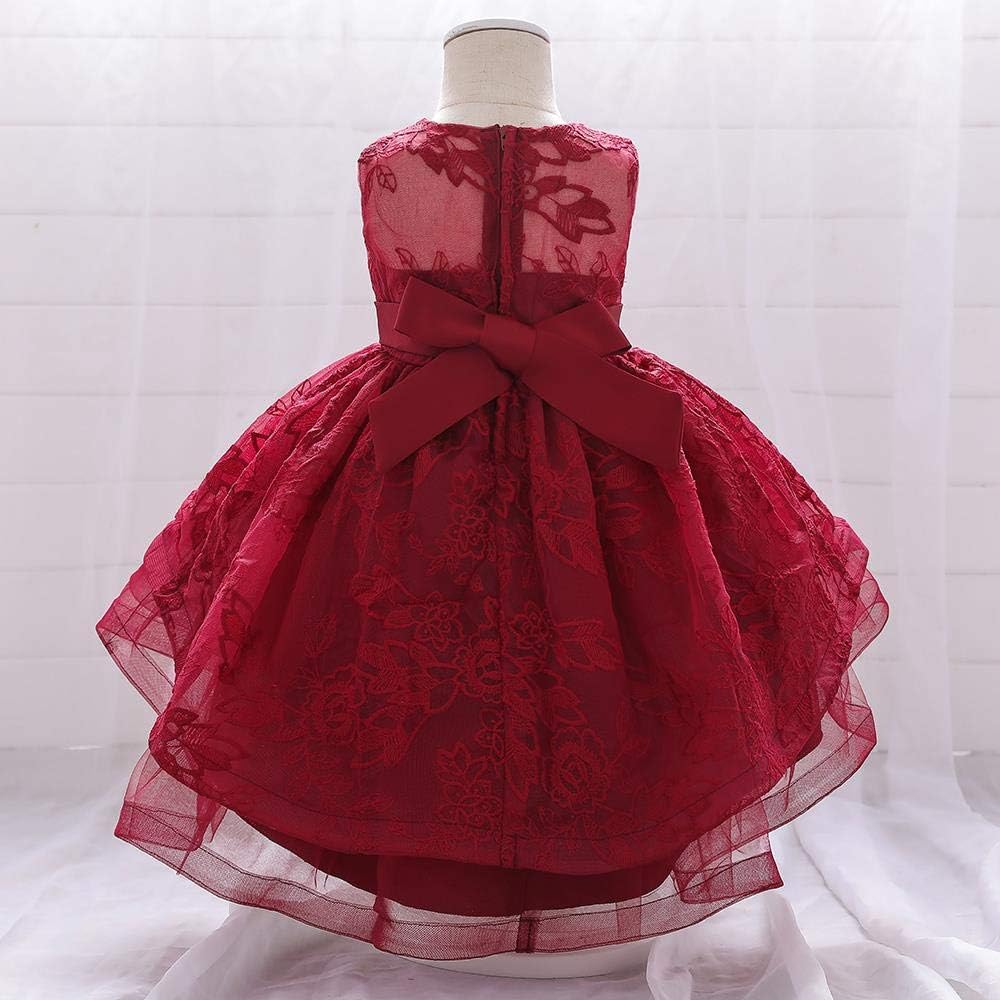 Dressy Daisy Baby Girls Wedding Flower Girl High Low Party Dress with Lace Embroideries for Pageant Special Occasion