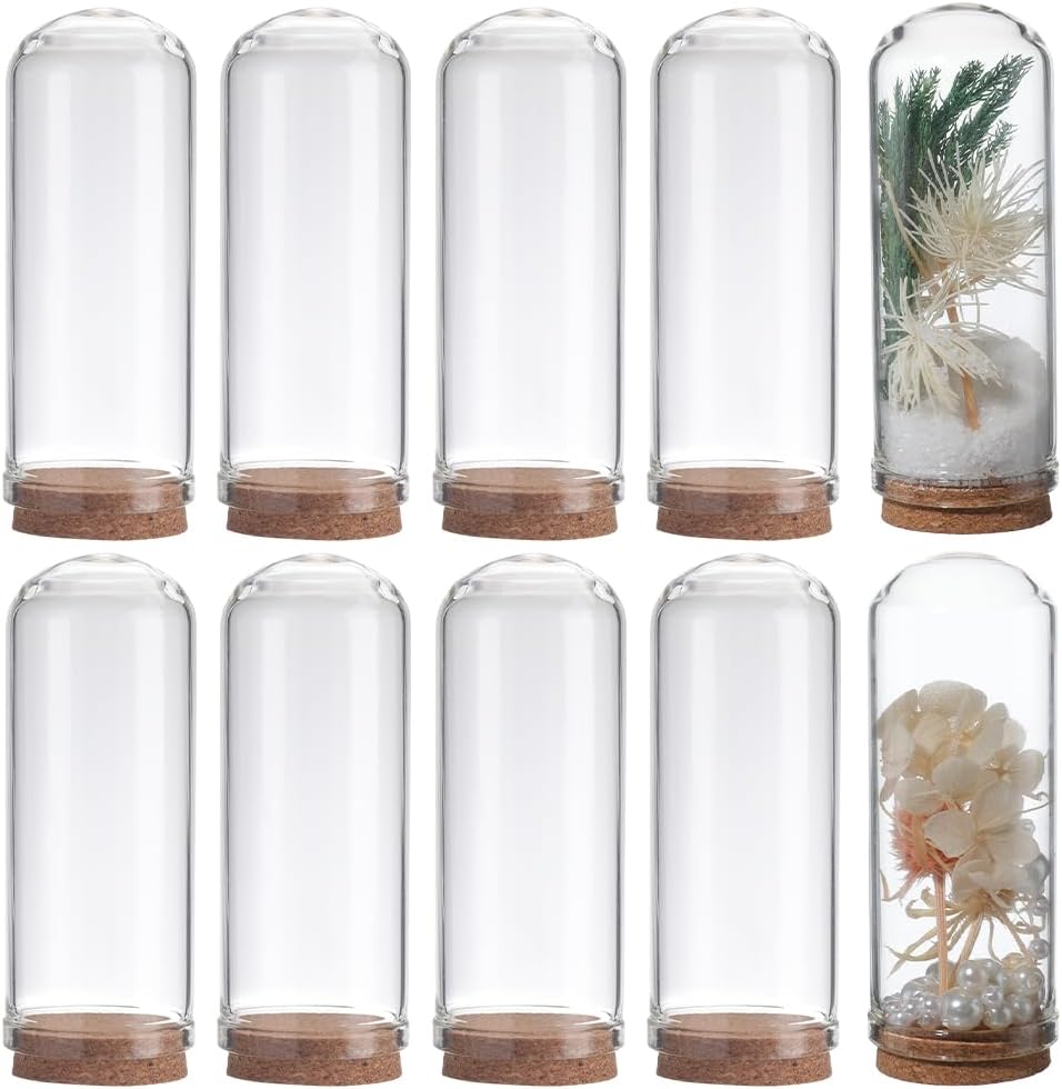 SUNNYCLUE 10 unidades de 2.76 pulgadas, cúpula de cristal Cloche, mini botellas de vidrio, cúpula de exhibición con base de corcho, vitrina para