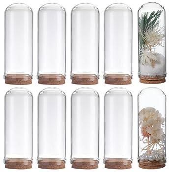 Amazon.co.jp: SUNNYCLUE 1箱10個 70mm ガラス ドーム ガラス瓶