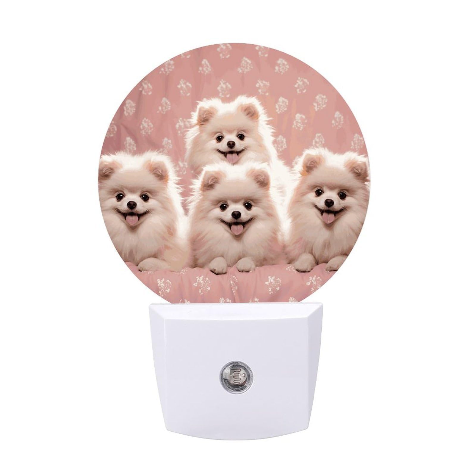 Pomeranians Puppies LED Night Lights Plug Into Wall