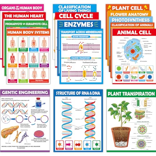 ZOIIWA 16pc Science Posters - Biology & Life Science Charts for Classroom & High School Education