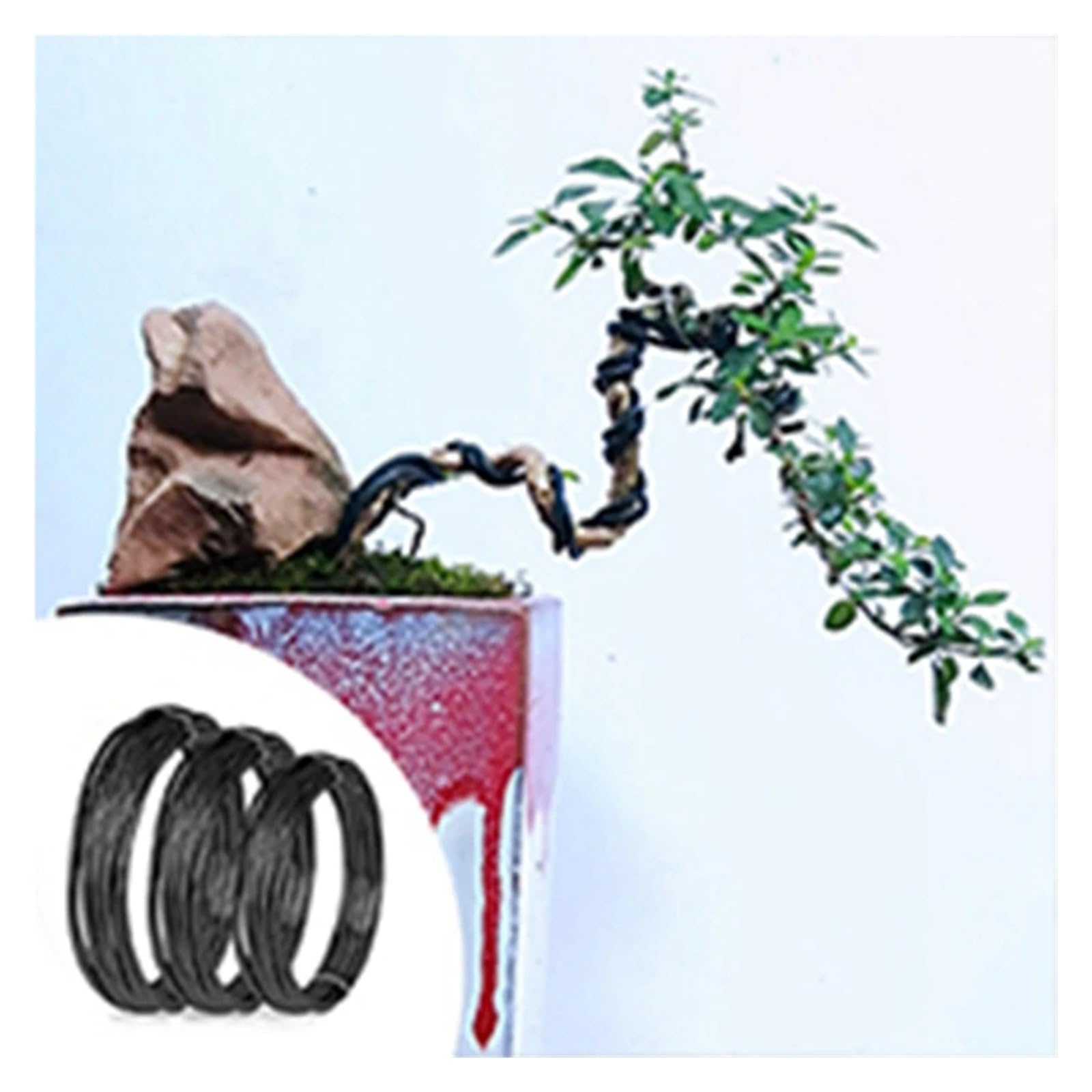 Kit d'outils de remplacement for bonsaï, 24 pièces, entretien de la forme des bonsaïs, jardinage, bonsaï, débutant, taille, kit d'entretien, sécateur