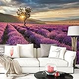 K&L Wall-Art Lila Blumen Fototapete 3D Effekt Panorama Landschaft XXL Wandposter Lavendelblüte Tapete 384cm x 260cm