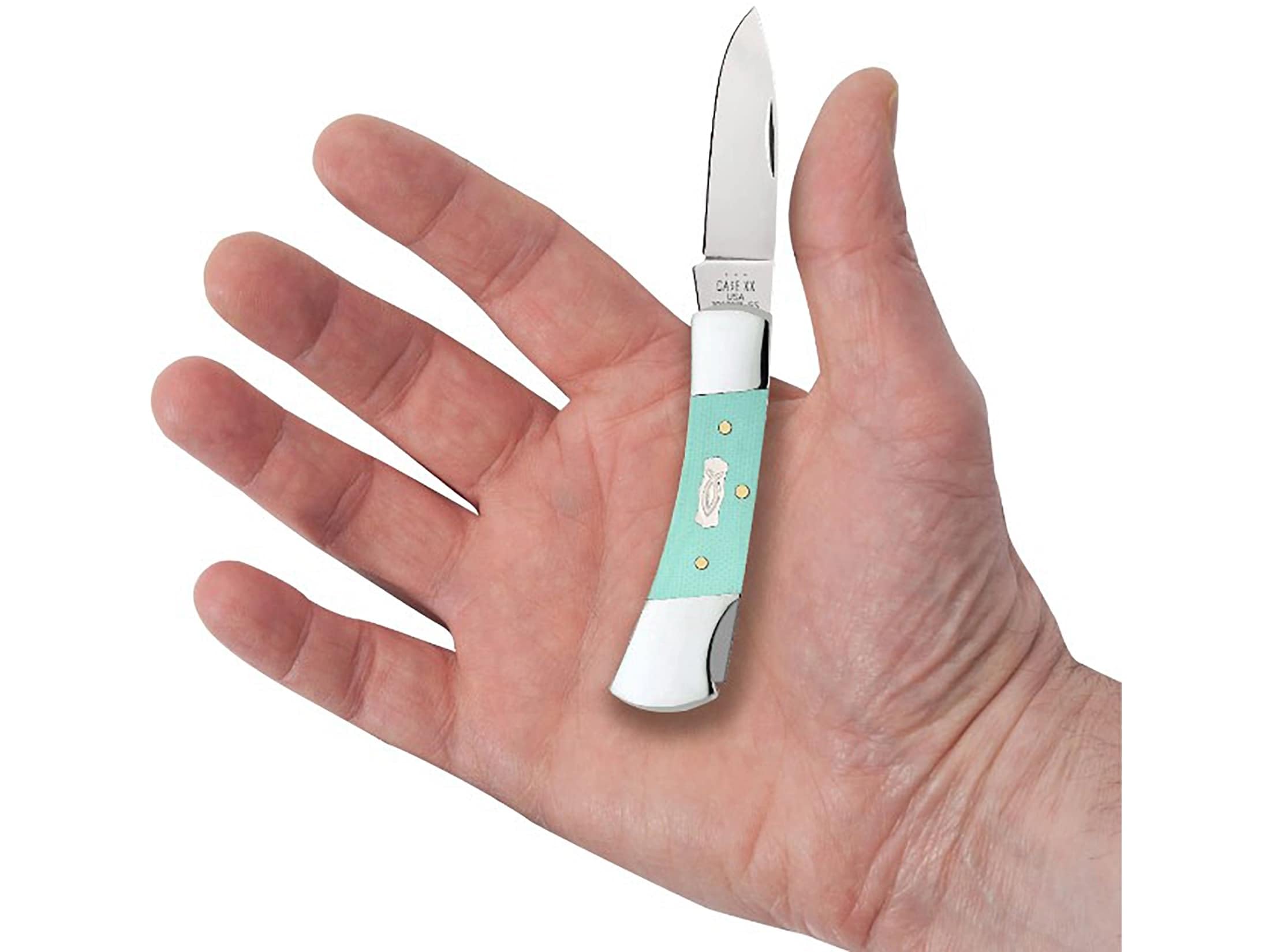 Amazon.com: Case Cutlery CA18106: Lockback Seafoam Green : Sports