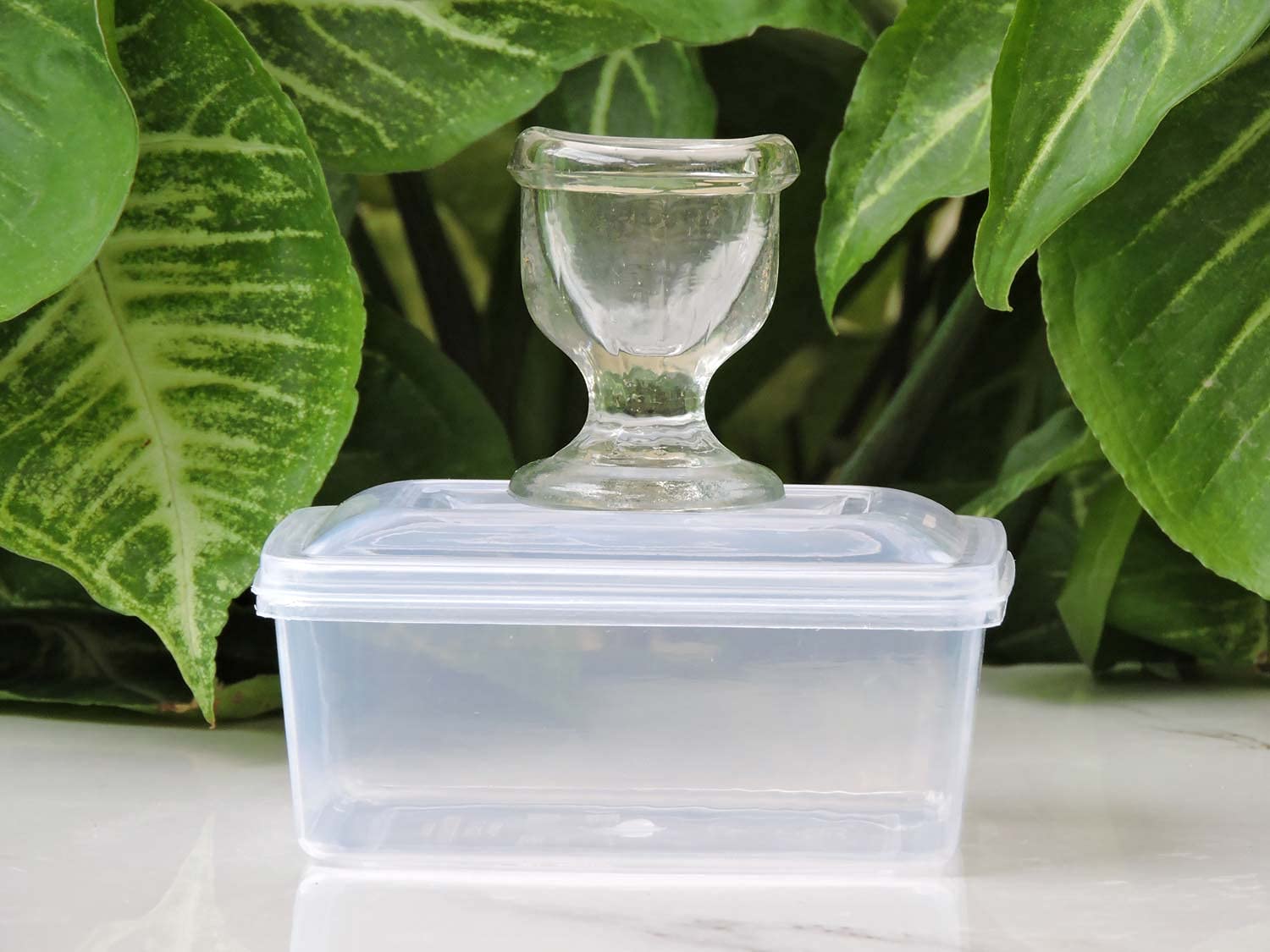 Taza de cristal para lavar los ojos con caja de regalo de terciopelo