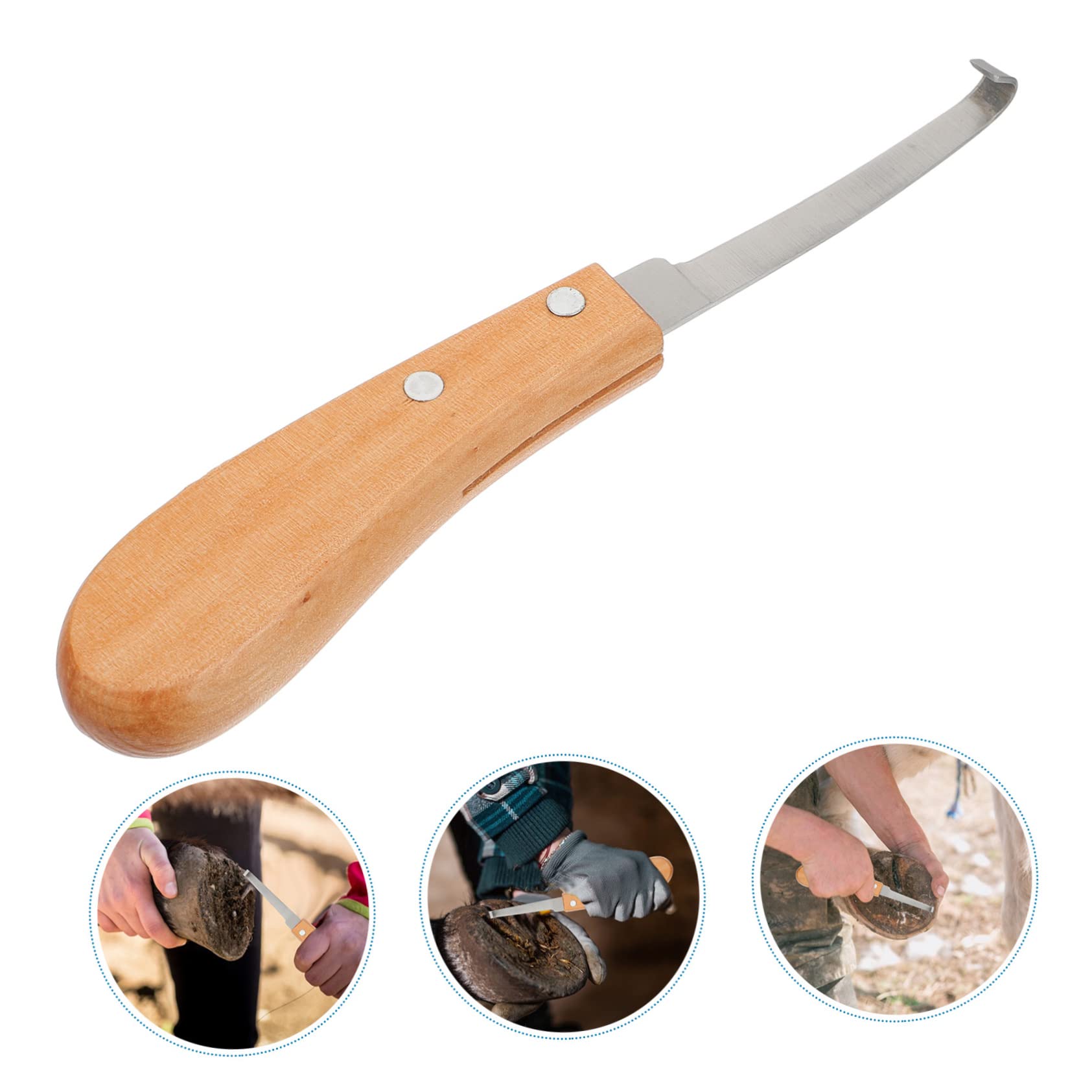 3stücke Edelstahl Hufschneider Für Pferde Reparaturwerkzeug Für Hufe Ergonomischer Griff Leicht Und Tragbar Für Pflege Von Pferden Und Rindern