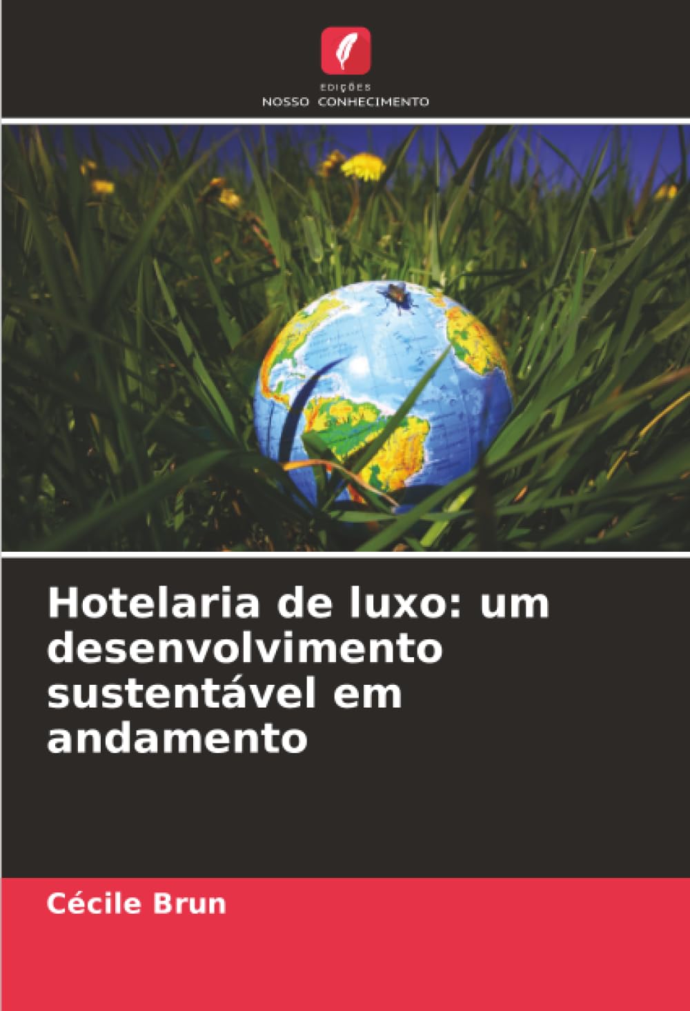 Hotelaria de luxo: um desenvolvimento sustentável em andamento