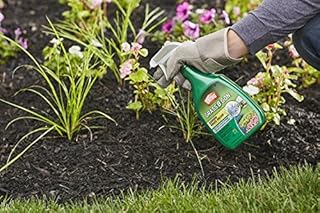 Ortho 0438580 Grass B Gon Garden Grass Killer Ready-to-Use, 24-Ounce (2 Pack)