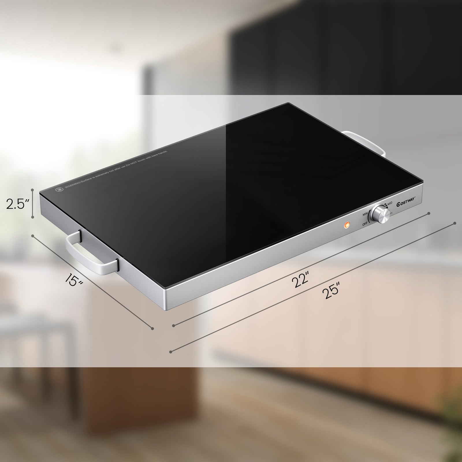 FANTASK Piastra elettrica da 56 x 36 cm, in acciaio inox, con regolatore di temperatura da 50 ℃ a 120 ℃, per feste, matrimoni, ristoranti