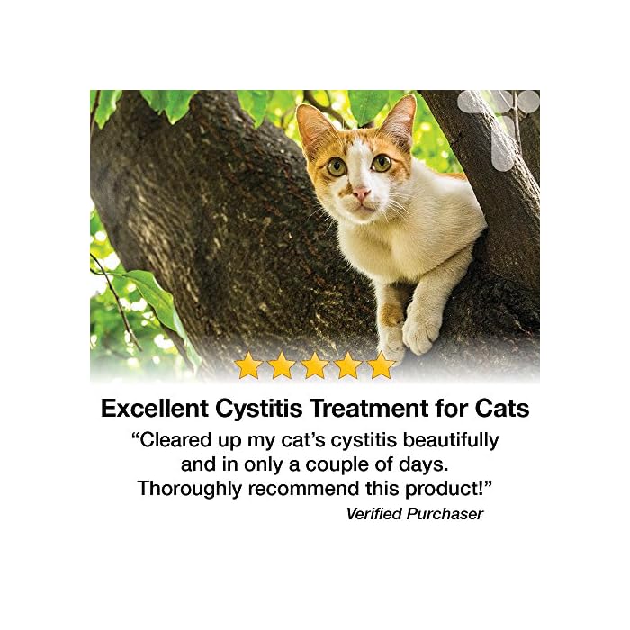 Cat Cystitis Care, Feline Urinary Tract Food Supplement Support, 180 Sprinkle On Capsules for Cats of All Ages, Cystassist by Transforme - Image 5