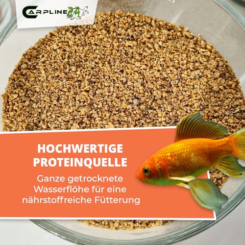 Getrocknete Wasserflöhe Daphnien 1000ml - Fischfutter für Teichfische & Zierfische, Natürliches Futter für Wasserschildkröten, Reptilien & Vögel – Bild 3