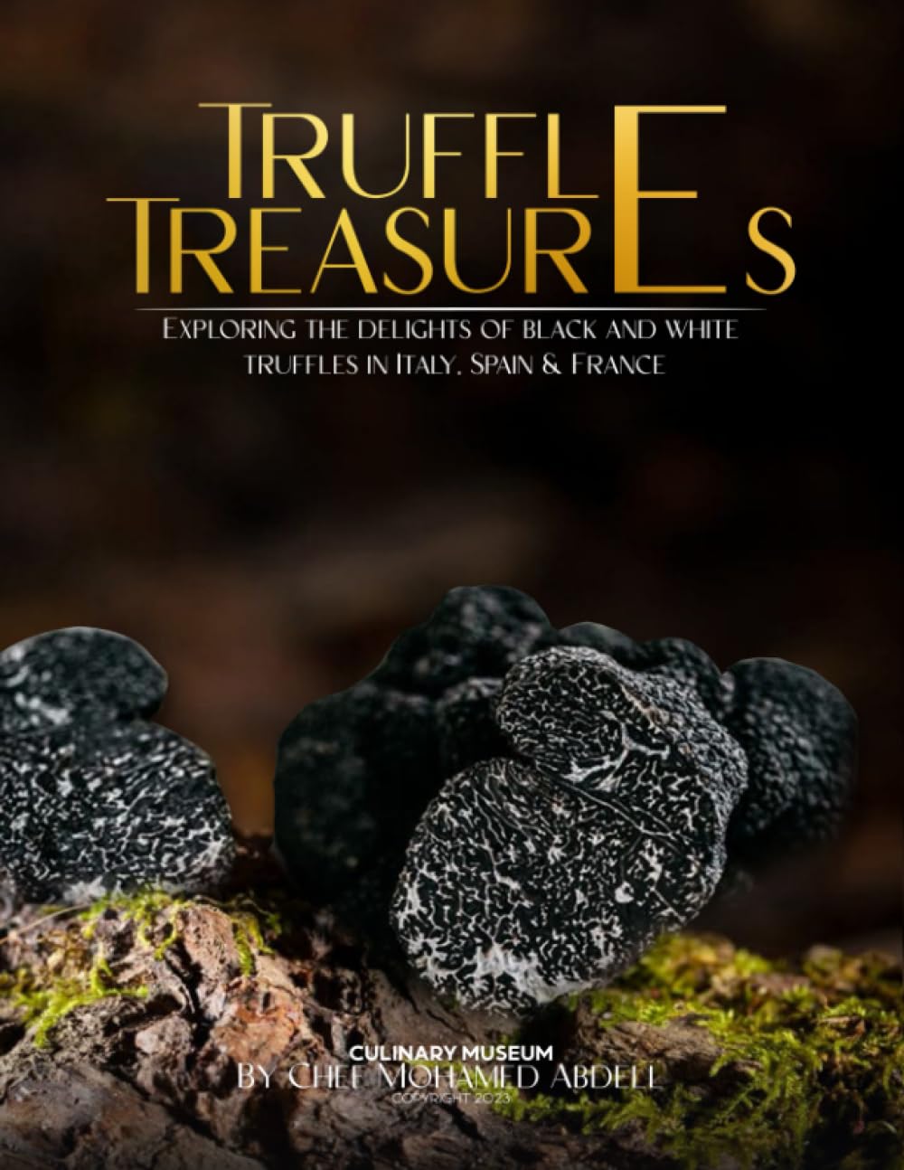 TRUFFLE TREASURES: EXPLORING THE DELIGHTS OF BLACK AND WHITE TRUFFLES IN ITALY, SPAIN & FRANCE: CULINARY MUSEUM BY CHEF MOHAMED ABDELL