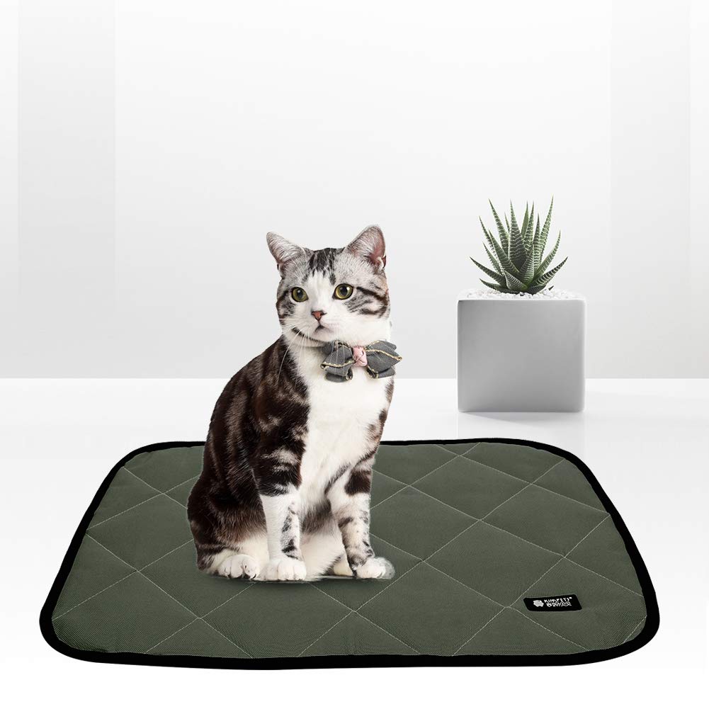 Cama para Perros Alfombra Oxford Ropa De Verano para Mascotas Cama para Perros A Prueba De Masticación para Mascotas Grandes, Medianas Y Pequeñas para Dormir (SG)