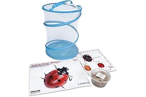 Ladybug Amazing Bugs Kit (With Live Ladybugs)