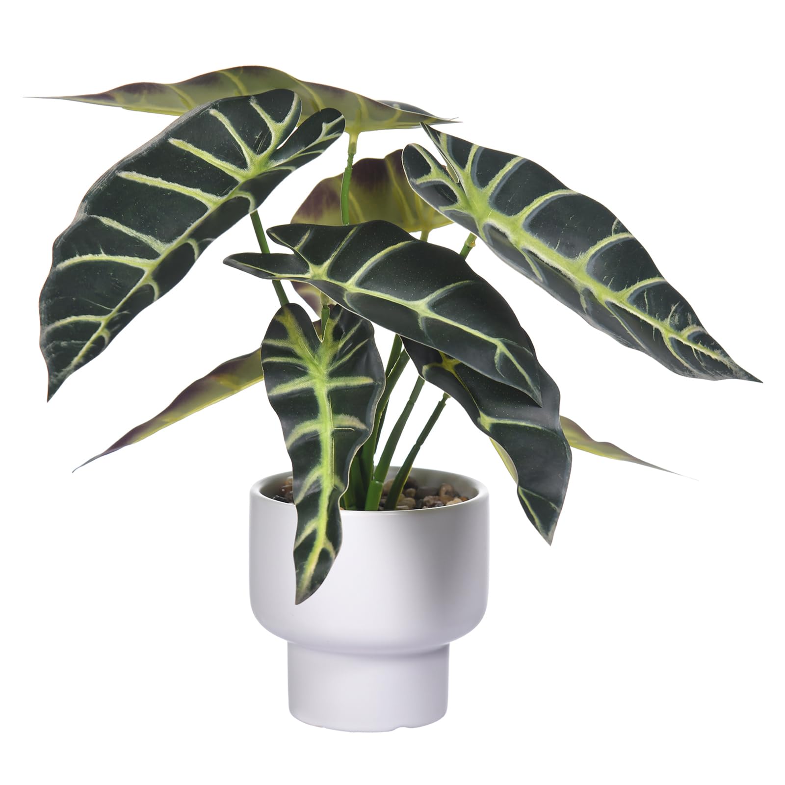 WishTip Artificial Plants in Ceramic Pot Fake Potted Plant Faux Alocasia Begonia Calathea Plants for Home Office Bathroom Table Décor